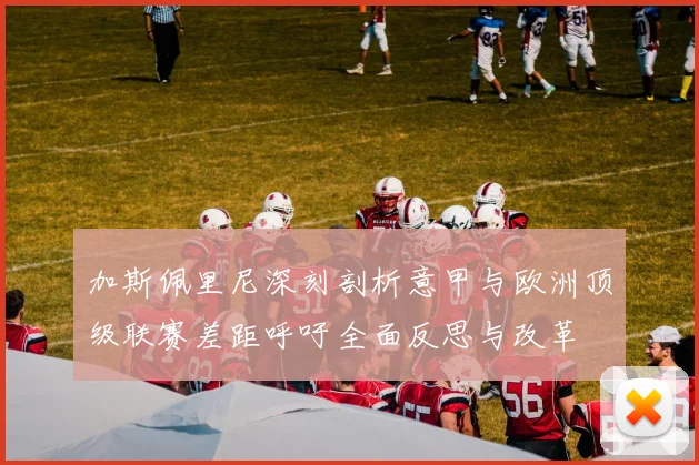 加斯佩里尼深刻剖析意甲与欧洲顶级联赛差距呼吁全面反思与改革